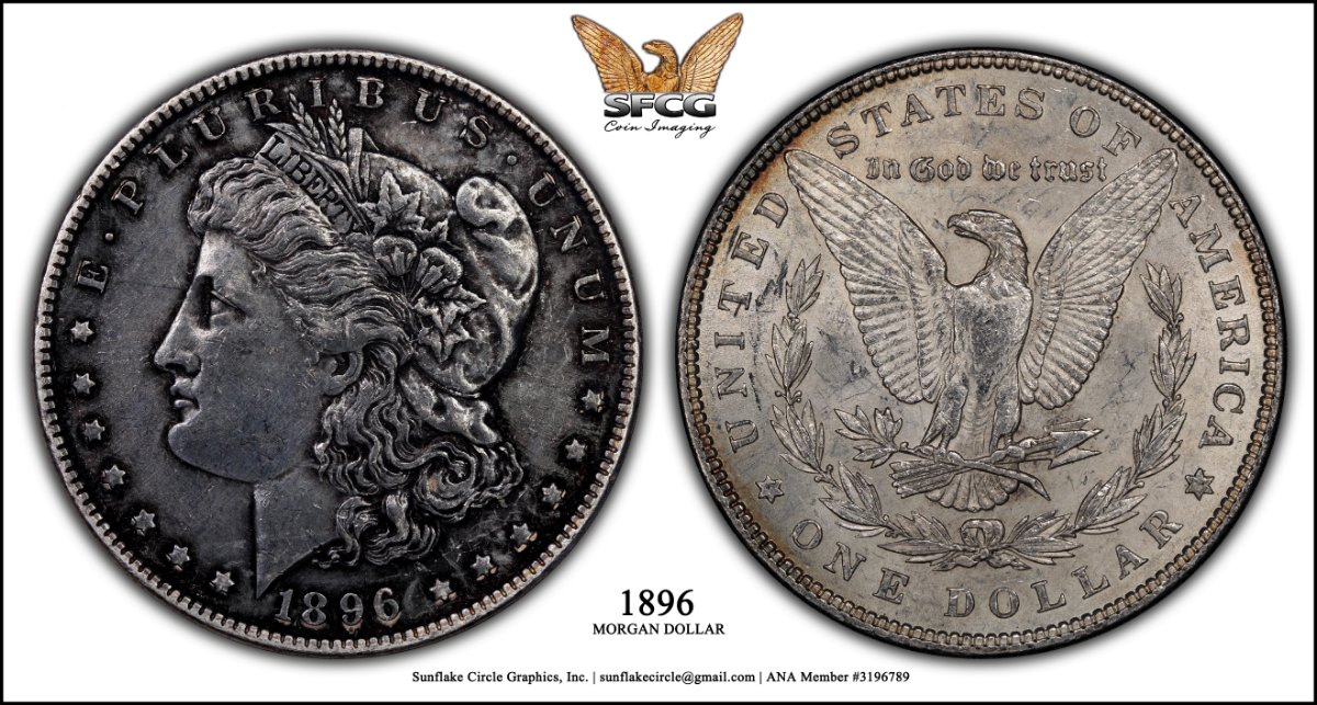 Continuing-List-To-Show-Everyones-Latest-Acquisitions
